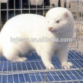 Mink Trap Cage ,Stainless Steel Wire Mesh Mink Cage,Steel Wire Cage For Mink